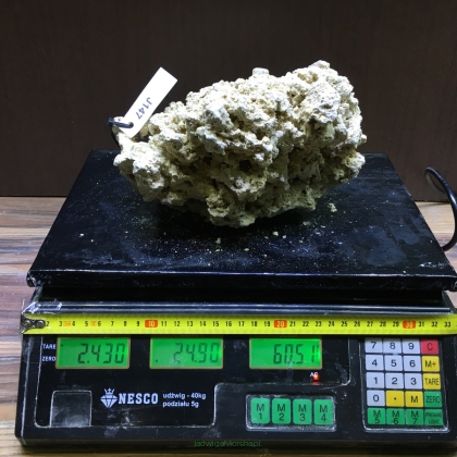 Sucha skała premium 2.43 kg (24.90 pln/kg) nr J147 INDONEZJA