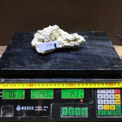 Sucha skała premium 0.615 kg (24.90 pln/kg) nr J150 INDONEZJA