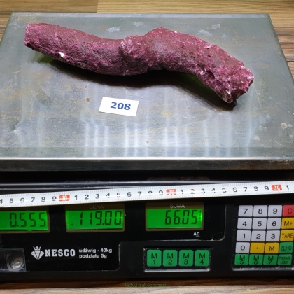 Ekologiczna skała Real reef rock BRANCH 0.555 kg (119 pln/kg) nr 208 (Dobra Cena Bez Rabatu)