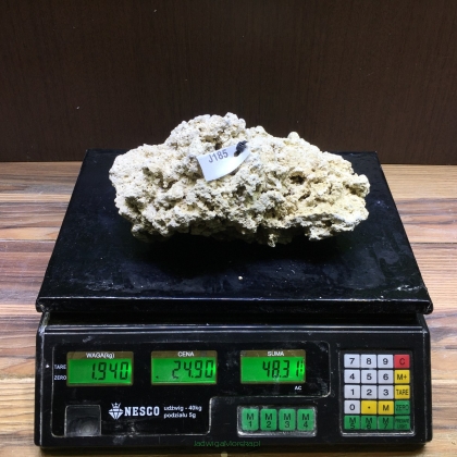 Sucha skała premium 1.94 kg (24.90 pln/kg) nr J185 INDONEZJA
