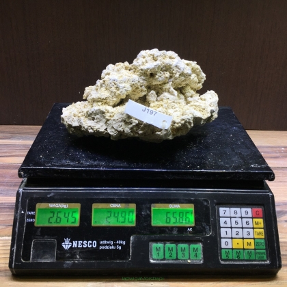 Sucha skała premium 2.645 kg (24.90 pln/kg) nr J197 INDONEZJA