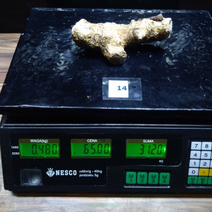 Żywa skała 0.48 kg (65 pln/kg) nr 14
